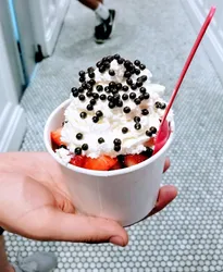 Best of 17 frozen yogurt in Phoenix