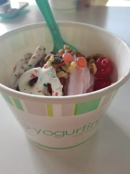 frozen yogurt Yogurtini