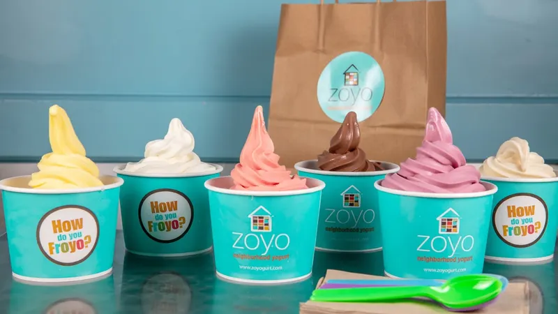 frozen yogurt Zoyo Neighborhood Yogurt