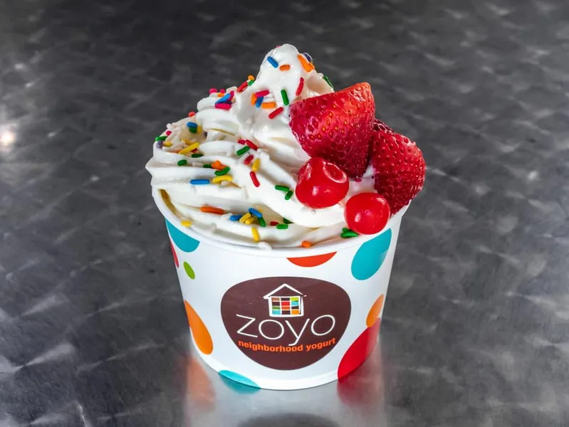 frozen yogurt Zoyo Neighborhood Yogurt