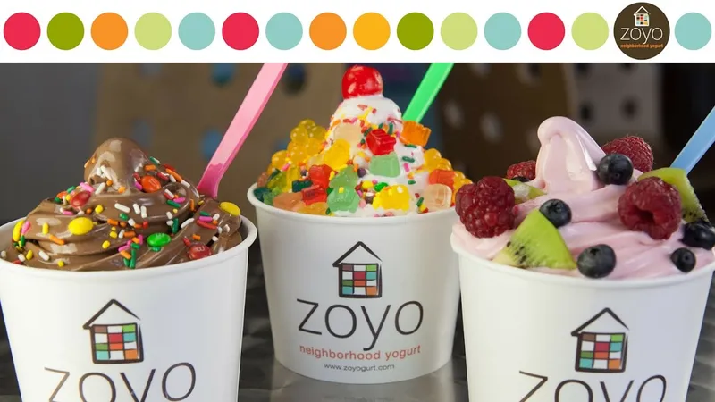 frozen yogurt Zoyo Neighborhood Yogurt