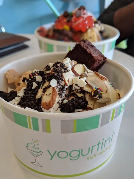 frozen yogurt Yogurtini