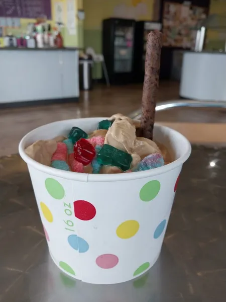 frozen yogurt Yoasis