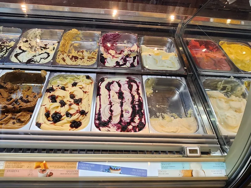 frozen yogurt Amorino Gelato - Dallas