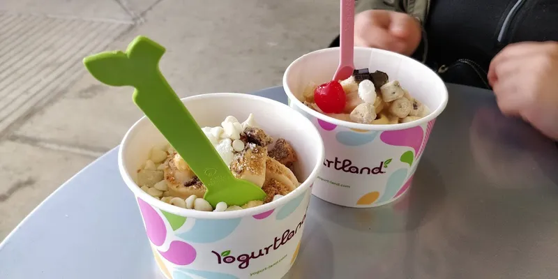 frozen yogurt Yogurtland Dallas