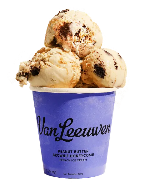 frozen yogurt Van Leeuwen Ice Cream