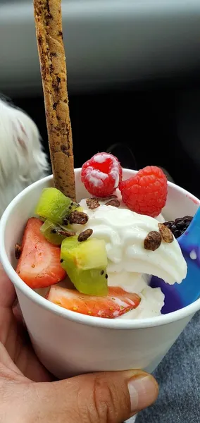 frozen yogurt Yogurt Zone