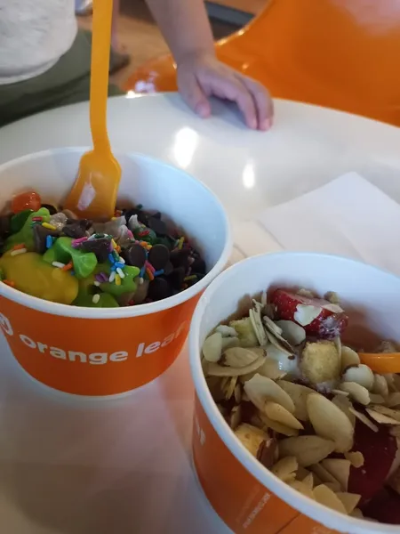 frozen yogurt Orange Leaf