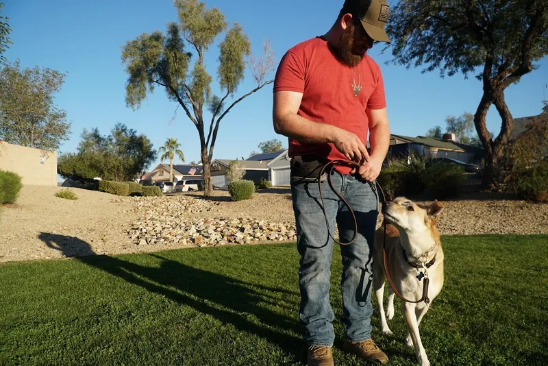 dog training classes Good Bois Dog Training