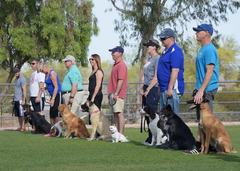 dog training classes Hunter Canine