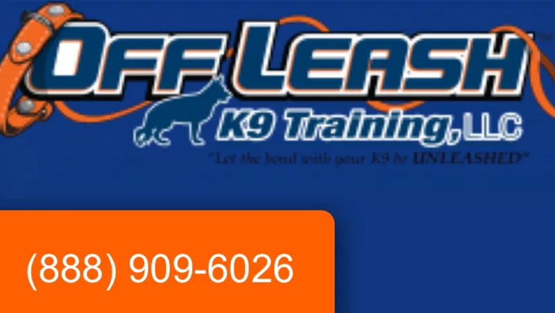 dog training classes Off Leash K9 Training, LLC