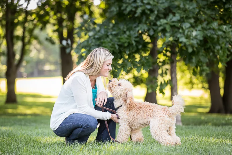 dog training classes Beyond the Dog - Dallas