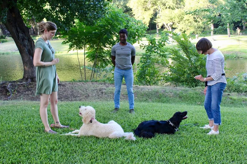 dog training classes Breyers' Canine Academy