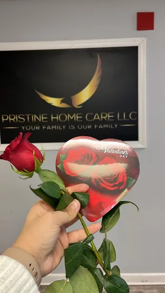 home health care agencies Pristine Home Care