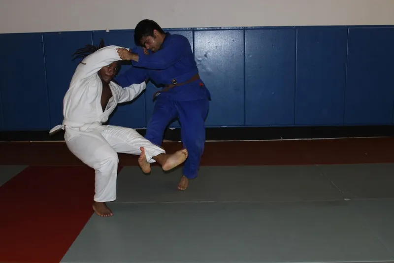 Jiu Jitsu Classes Osagame Martial Arts and Fitness