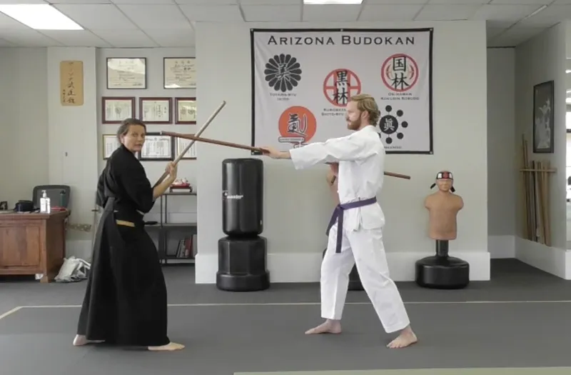 self defense Classes Arizona Budokan