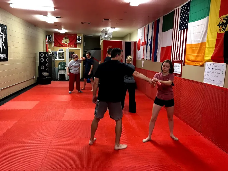 self defense Classes TSF Self Defense Systems