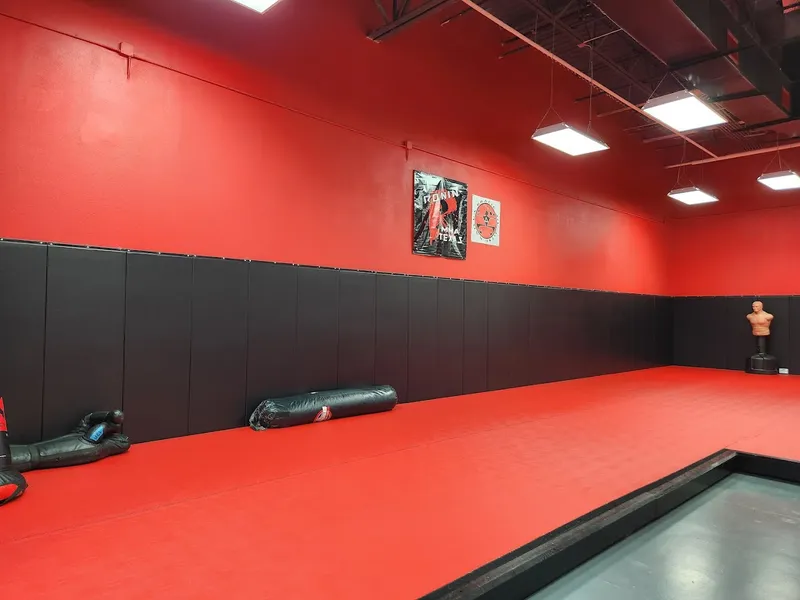 self defense Classes RONIN MMA TEXAS, Brazilian Jiu-Jitsu, Muay Thai