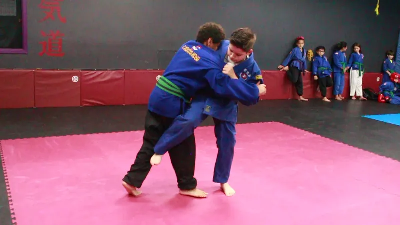 self defense Classes Professional Karate Institute Mixed Martial Arts