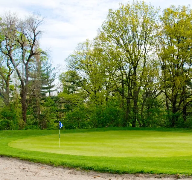 golf lessons Walnut Lane Golf Club