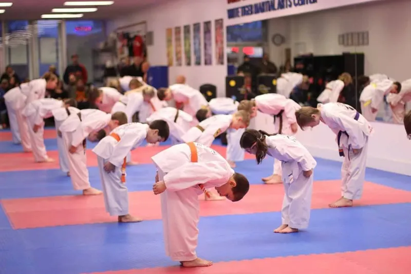 Martial Arts Classes White Tiger Taewkondo Academy