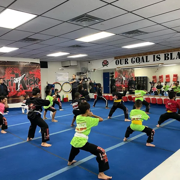 Martial Arts Classes Amerikick Karate