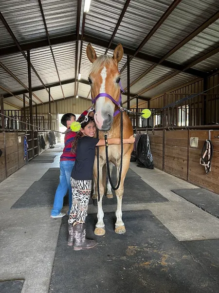 Horseback Riding Lessons Spring Creek Stables