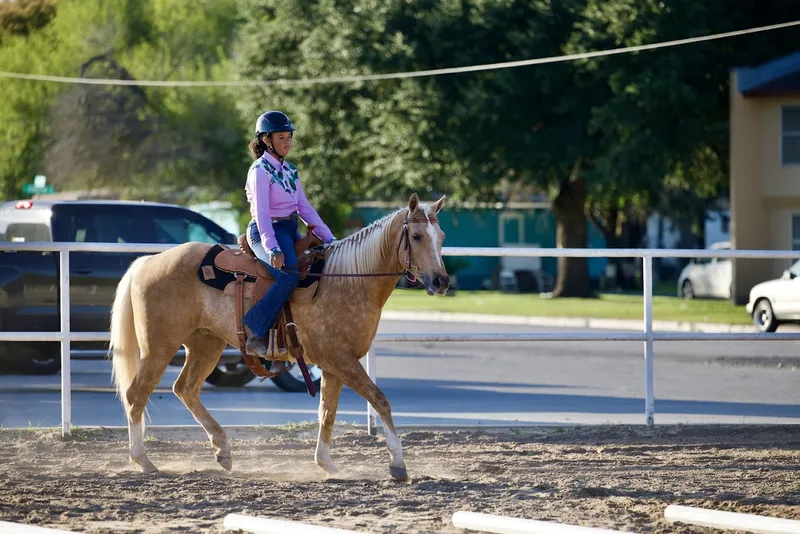 Horseback Riding Lessons Blueberry Creek Stables