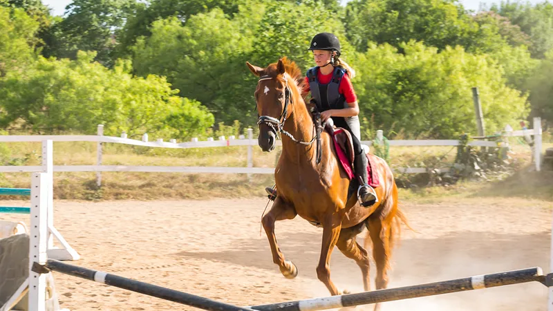 Horseback Riding Lessons Turkey Creek Stables Inc