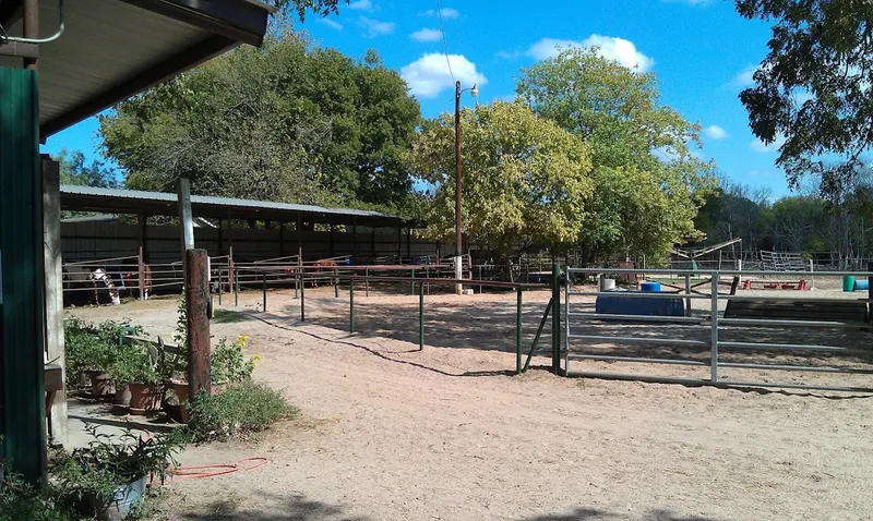 Horseback Riding Lessons Oak Valley Stables