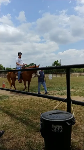 Horseback Riding Lessons Retama Equestrian Center