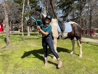 Top 11 Horseback Riding Lessons in Dallas