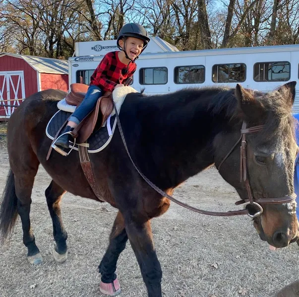 Horseback Riding Lessons Trinity Forest Stables