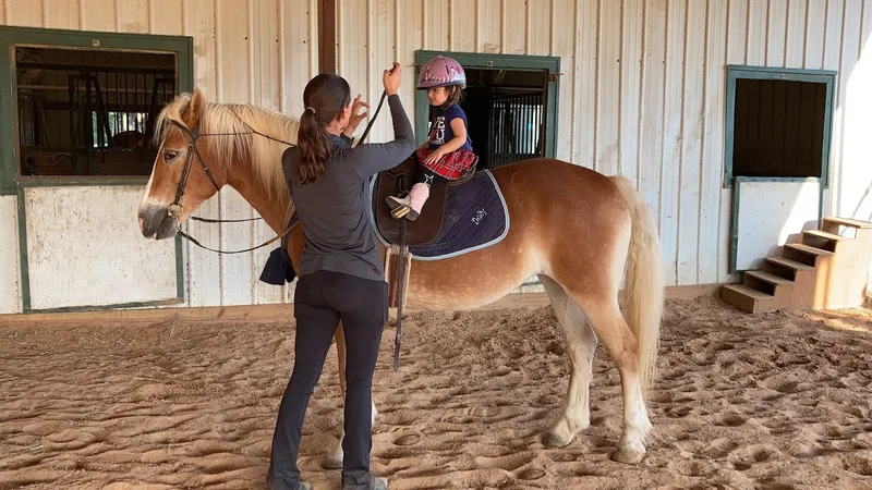 Horseback Riding Lessons Laurel Ridge Stables