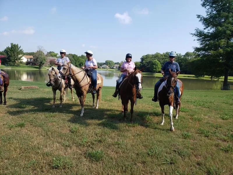 Horseback Riding Lessons Windmill Stables