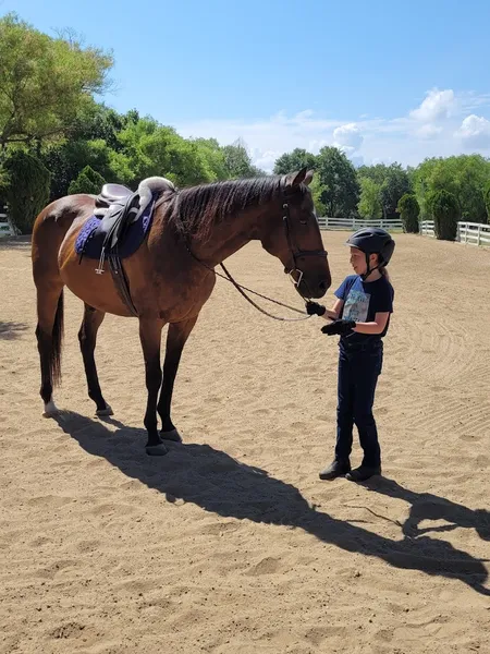 Horseback Riding Lessons Rocking J Stables