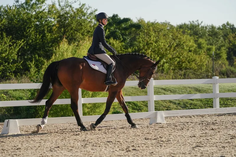 Horseback Riding Lessons Dallas Equestrian Center