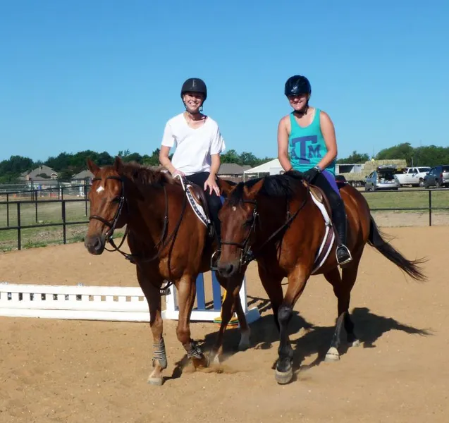 Horseback Riding Lessons Merriwood Ranch