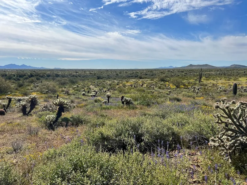 photo spots Apache Wash Trail Head