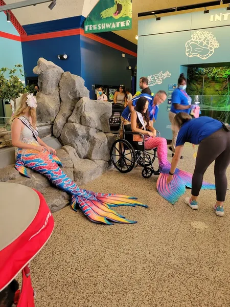 Things to do with kids Children's Aquarium Dallas at Fair Park