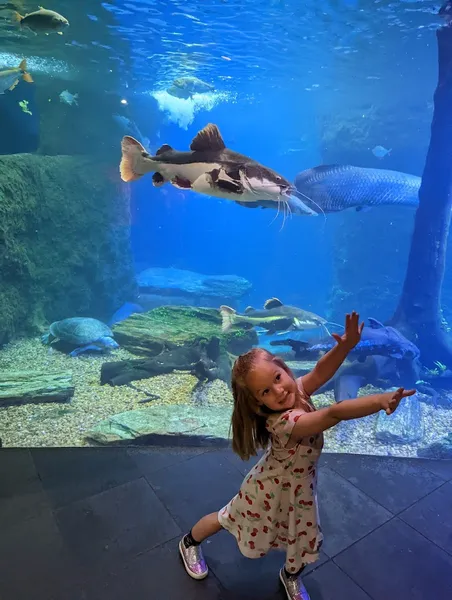 Things to do with kids The Dallas World Aquarium