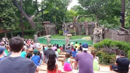 Best of 19 Things to do with kids in Dallas