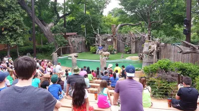 Best of 19 Things to do with kids in Dallas