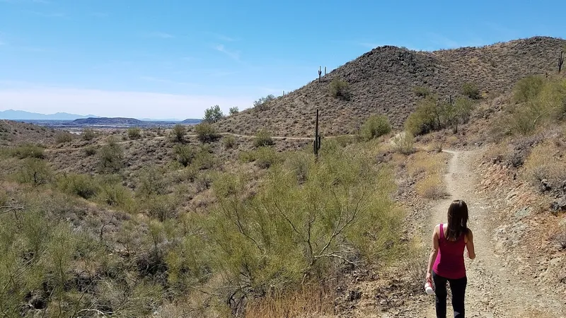 Hiking Trails Sonoran Preserve -Desert Vista Trailhead