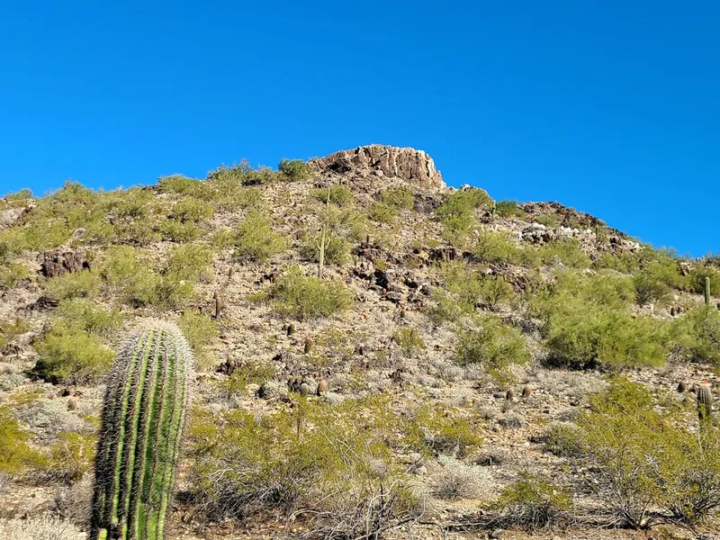 Hiking Trails Phoenix Mountain Preserve - 40th St. Trailhead