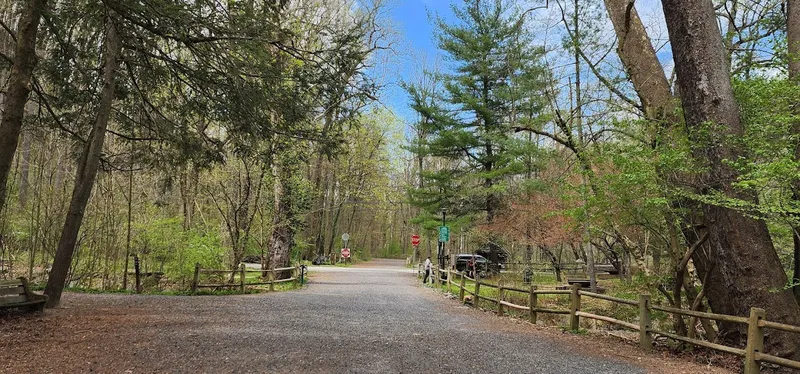 Hiking Trails Bells Mill Road West Trailhead