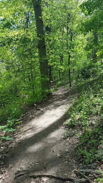 Hiking Trails Vicaris St Trailhead