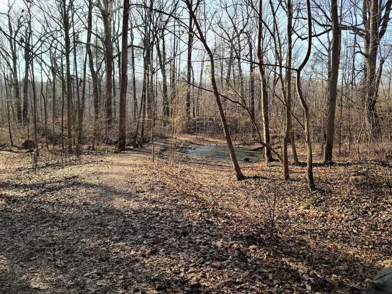 Hiking Trails White Trail Entrance