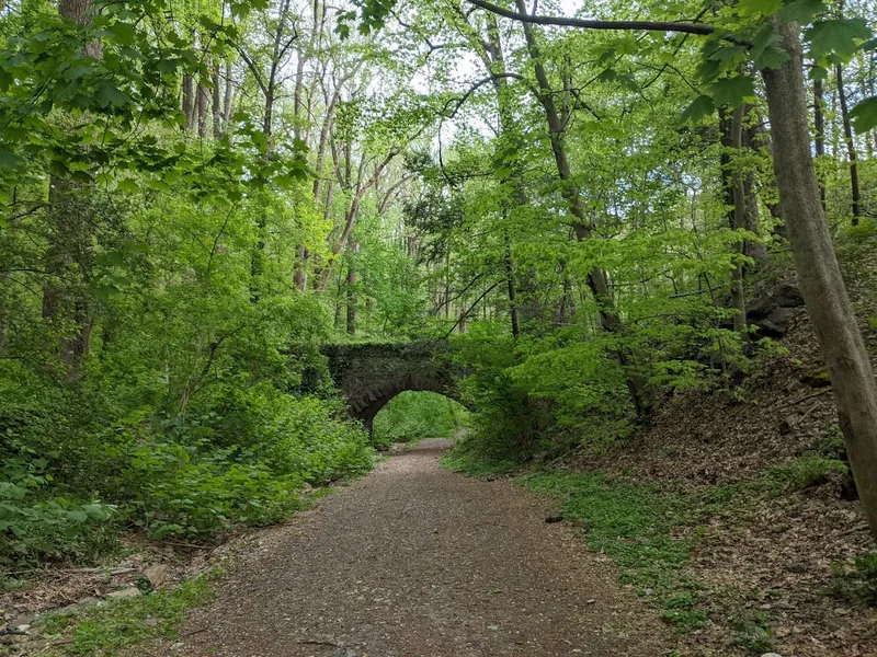 Hiking Trails Mt. Airy Trail Entrance