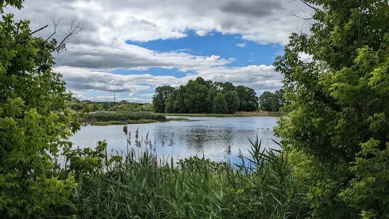 Hiking Trails John Heinz National Wildlife Refuge at Tinicum